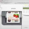 Imprimantes|Imprimantes D’étiquettes Couleur<Epson ColorWorks C3500 (incl. NiceLabel Download)