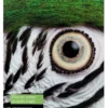 Papier<Epson Fine Art Cotton Smooth Bright A4 25 Sheets