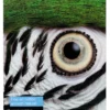 Papier<Epson Fine Art Cotton Smooth Natural II, A2 25 Sheets