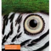 Papier<Epson Fine Art Cotton Textured Bright A4 25 Sheets