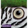 Papier<Epson Fine Art Cotton Textured Natural II, A2 25 Sheets