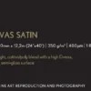 Papier<Epson Premium Canvas Satin Roll, 24" x 12,2 m, 350g/m2