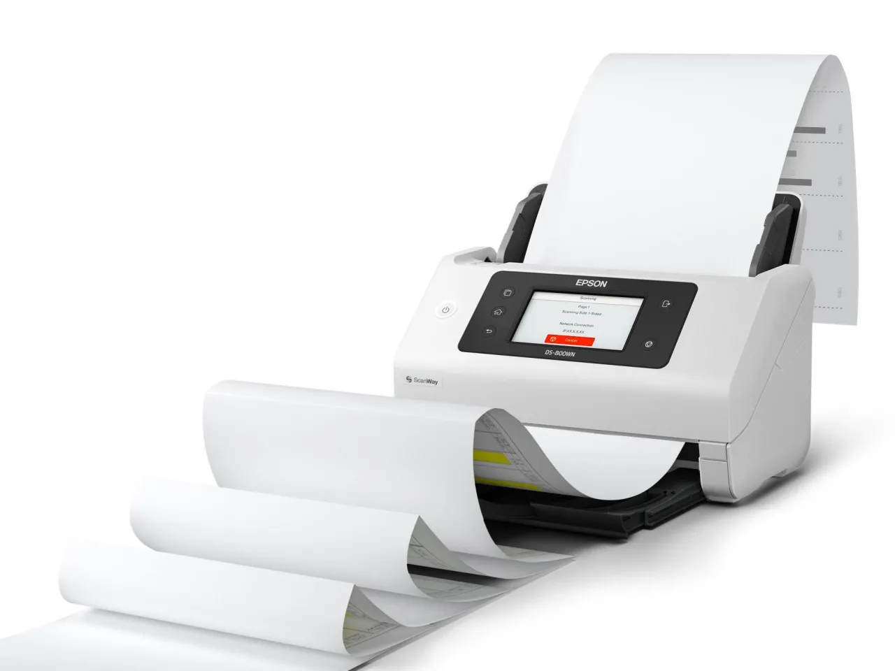 Scanners<Epson WorkForce DS-800WN