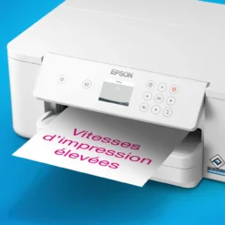 Imprimantes<Epson WorkForce Pro WF-M4119DW